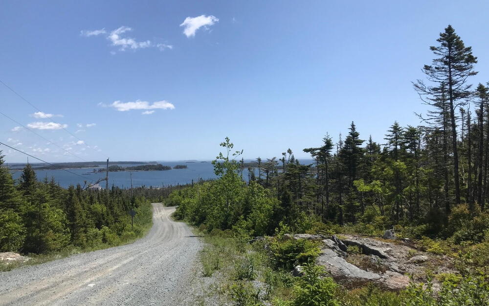 View of dirt / gravel road with a forest view